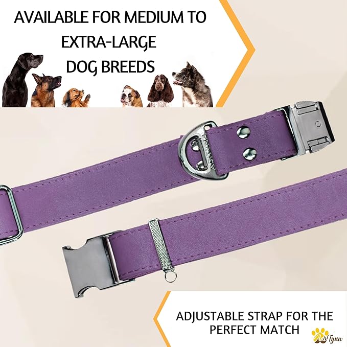 ADITYNA Leather Dog Collar with Metal Buckle - Heavy-Duty, Adjustable for Medium & Large Dogs - Walking, Training, Hiking (Purple, Fits 15-21" Necks)