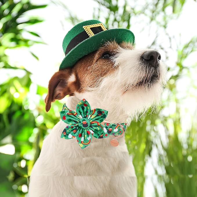DOGWONG Green Lucky Clover Shamrock Dog Collar with Flower, Soft Adjustable St. Patrick's Day Lucky Charm Puppy Collar for Small Medium Large Dog