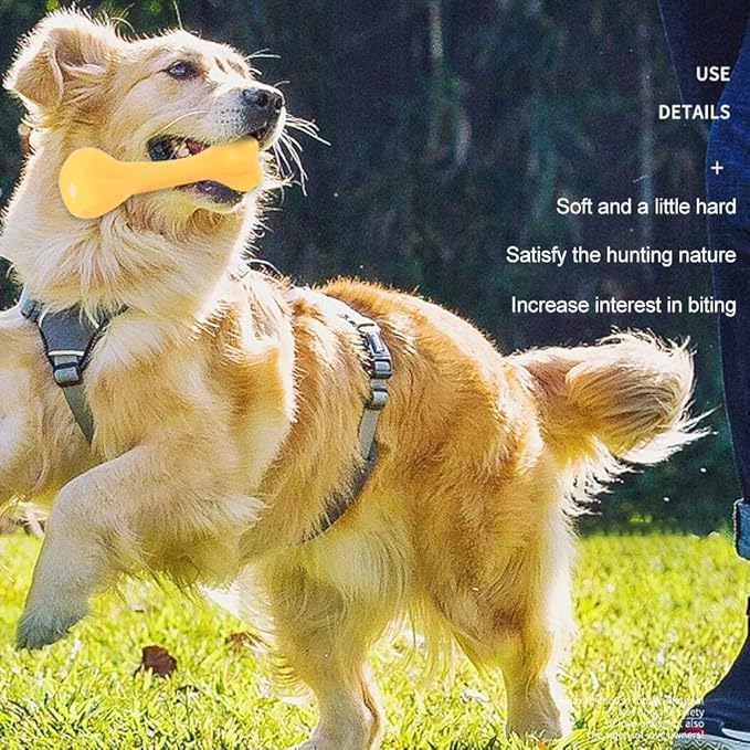 NTRR Bite-Resistant Dog Toys Squeaky Chewing Toys Tooth Cleaning Supplies, Golden Retriever Teddy Pets, etc., Dog Training, Sofa Damage Prevention, Hamburger Pet Toys