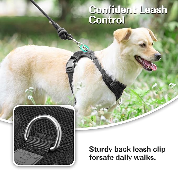 No Pull Dog Harness for Small Medium Large Dogs - Adjustable 2 Layer Mesh Dog Vest with Dual Clip, Escape Proof, Quick Release, Lightweight Breathable Mesh for Walking Hiking (Black,L)