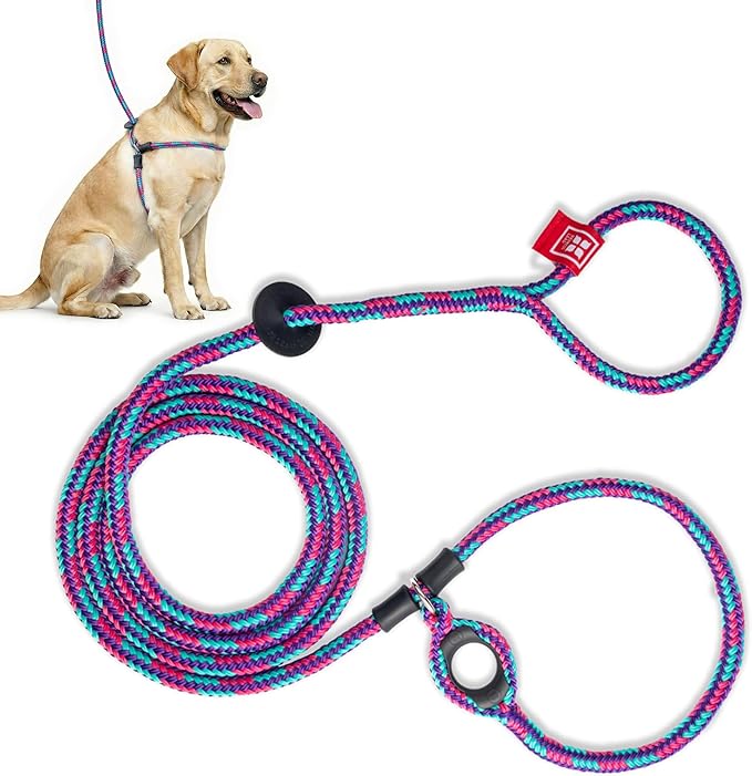 Harness Lead No Pull Dog Harness and Leash Set, Anti Pull Dog Harness, One-Piece Cushioned Rope Safely Prevents Escaping and Pulling *New Insert is Removable (Medium/Large, Reef)