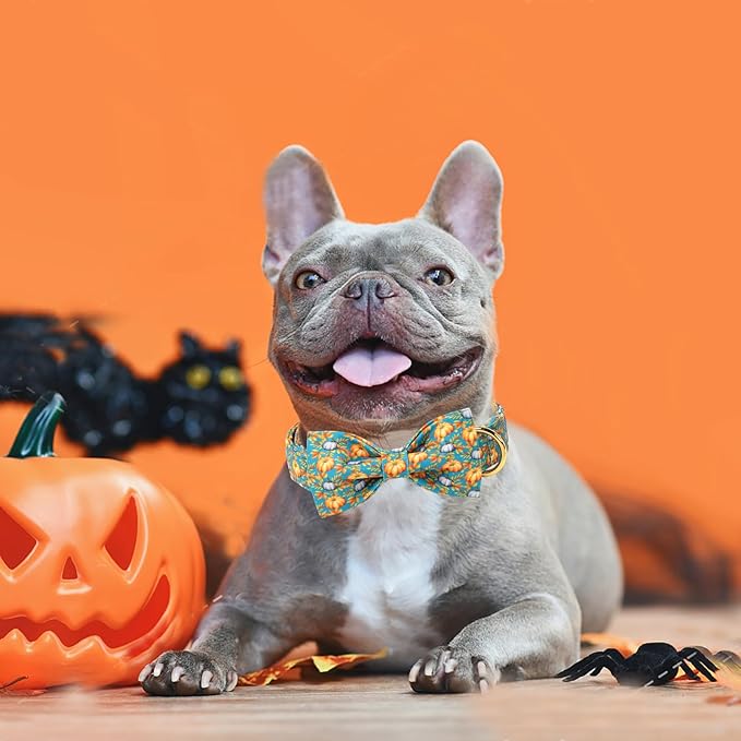 ARING PET Fall Dog Collar with Bow, Halloween Pumpkin Cute Pet Collars with Quick Release Buckle for Puppy Small Medium Large Girl Boy Dogs-XS