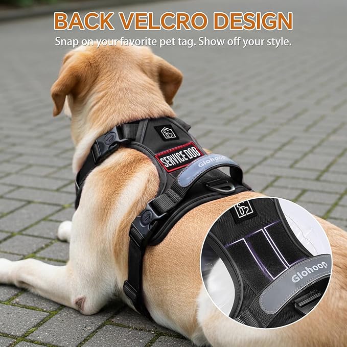 Heavy Duty Tactical Dog Harness for Medium Dogs, No Pull Dog Harness with Handle & Front Clip, Reflective Soft Padded, Hook and Loop Panel, Dog Vest for Walking, Service Training, Black