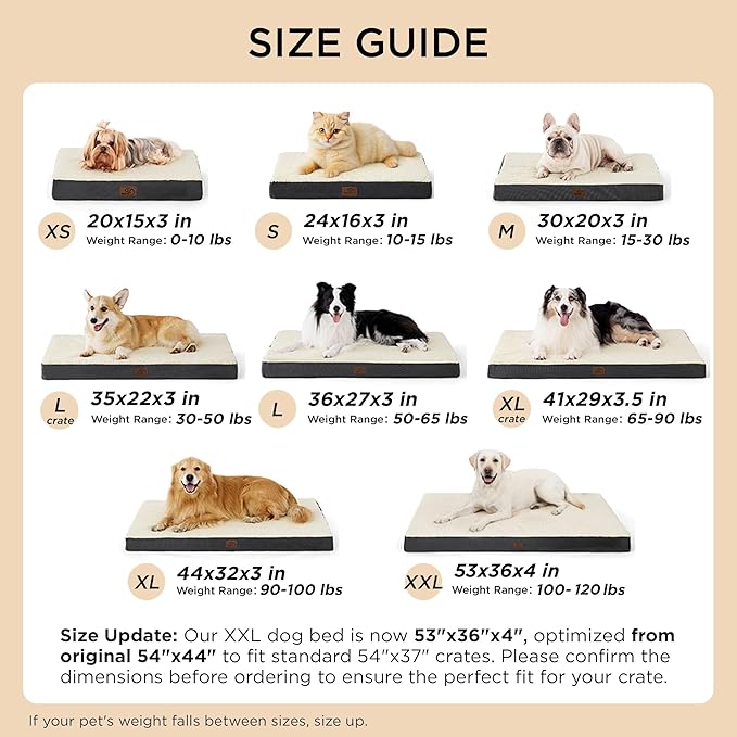 Bedsure Dog Bed Medium Size Dog - Comfy Flat Puppy Beds with Removable Washable Cover, Orthopedic Egg Crate Foam Pet Mat, Suitable for Pet Up to 30 lbs