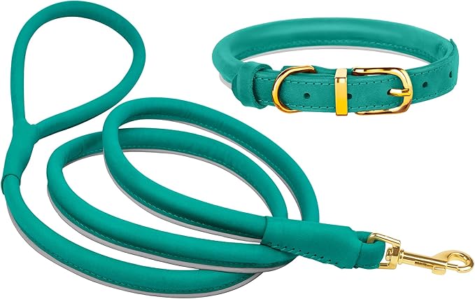 OOPSDOGGY Reflective Rolled Leather Dog Leash 6ft - Soft Training Lead for Small Medium Large Dogs Puppy - Heavy Duty Rope Puppies Leashes for Outdoor Walking Running (Teal, Medium/Large)