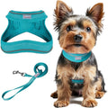 Dog Harness and Leash Set,Step in Small Sized Dog Harness,Soft Mesh,No-Chock,Reflective Adjustable,Secure with Hook & Loop Fastener,Puppy Vest for Small,Medium Dogs(Ocean Blue,S)
