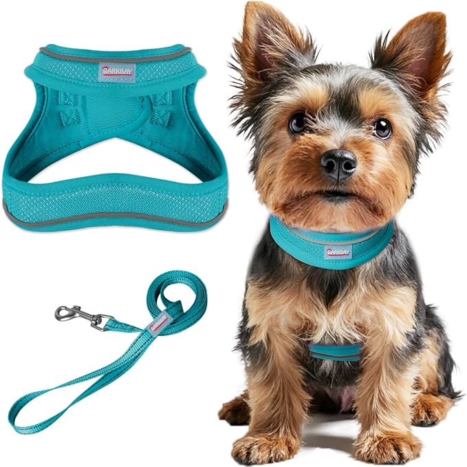 Dog Harness and Leash Set,Step in Small Sized Dog Harness,Soft Mesh,No-Chock,Reflective Adjustable,Secure with Hook & Loop Fastener,Puppy Vest for Small,Medium Dogs(Ocean Blue,S)
