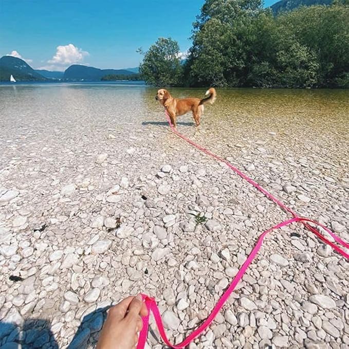 Waterproof Dog Training Leash 50FT 30FT 15FT 10FT 5FT Heavy Duty Recall Long Lead for Large Medium Small Dogs (15FT, Pink)
