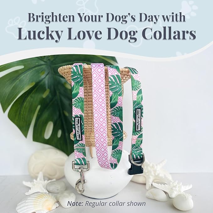 Lucky Love Dog Martingale Dog Collar & Leash - Adjustable, No-Slip, Durable, Comfortable, Soft Webbing, & Stylish Patterned Collar & Leash Set for Male and Female Dogs - Laguna Mart Combo, Medium