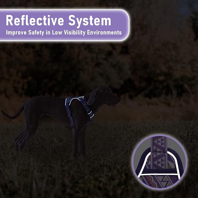 Dog Harness for X-Small Dog Breed, Light Pet Vest Harness with 2 Leash Clips and 3 Buckles, Easy to Wear, Adjustable Reflective Soft Padded, Boston Terrier, Poodles, XS