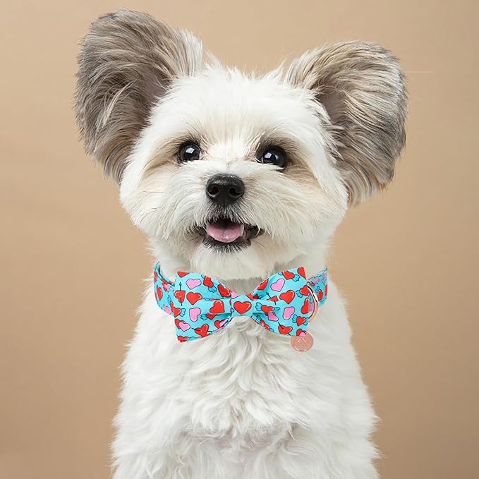 DOGWONG Valentine Dog Collar with Bow, Blue Heart Dog Collar Durable Soft Cotton Pet Dog Collar Cute Heart Valentines Day Puppy Necklace for Small Medium Large Dog