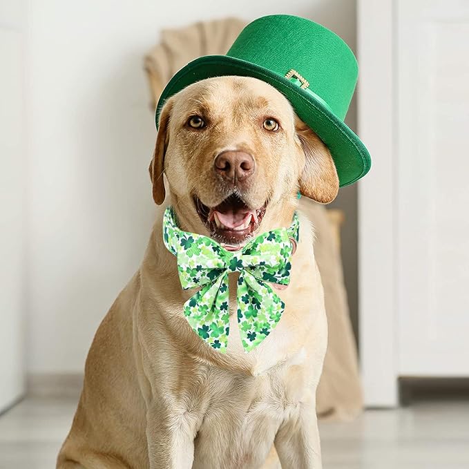 DOGWONG St. Patrick's Day Dog Collar-Cute Clovers Dog Collar with Bow, Cotton Trefoil Bowtie Dog Collars with Metal Buckle for Small Medium Large Dogs