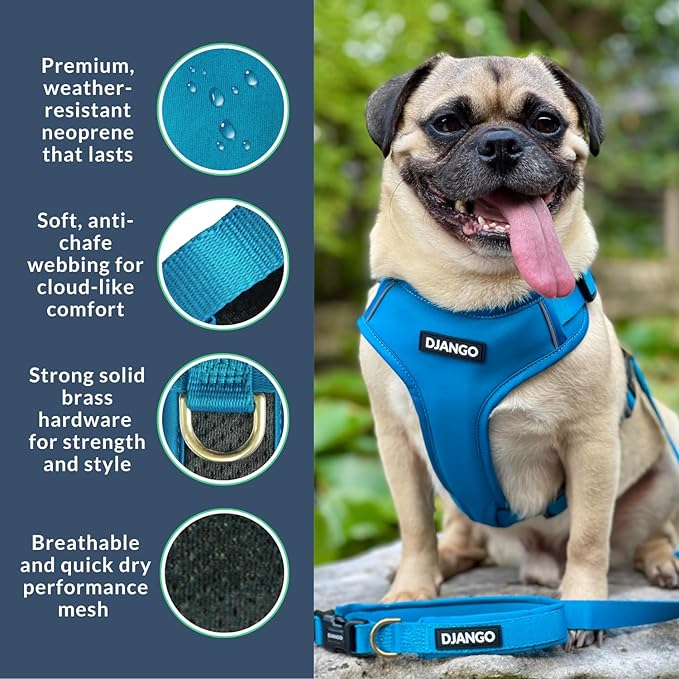 DJANGO Adventure Dog Harness - Stylish & Durable Medium Dog Harness for Outdoor Adventures and Everyday Wear - Pacific Blue Neoprene Adjustable Harness for Dogs with Reflective Piping, Brass D-Ring