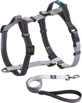 Roses&Poetry Puppy Dog Harness and Leash Set, No Pull Dog Harness Adjustable Reflective, Dog Halter Harnesses Comfort Padded Handle, Pet Harness for Training Outdoor Walking（BlackGray-XS