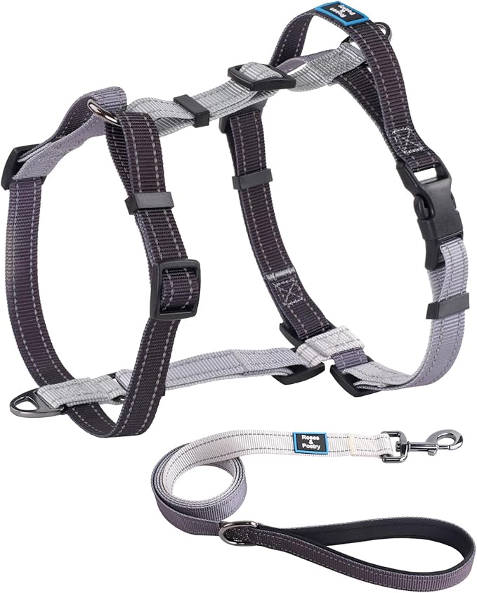 Roses&Poetry Puppy Dog Harness and Leash Set, No Pull Dog Harness Adjustable Reflective, Dog Halter Harnesses Comfort Padded Handle, Pet Harness for Training Outdoor Walking（BlackGray-XS