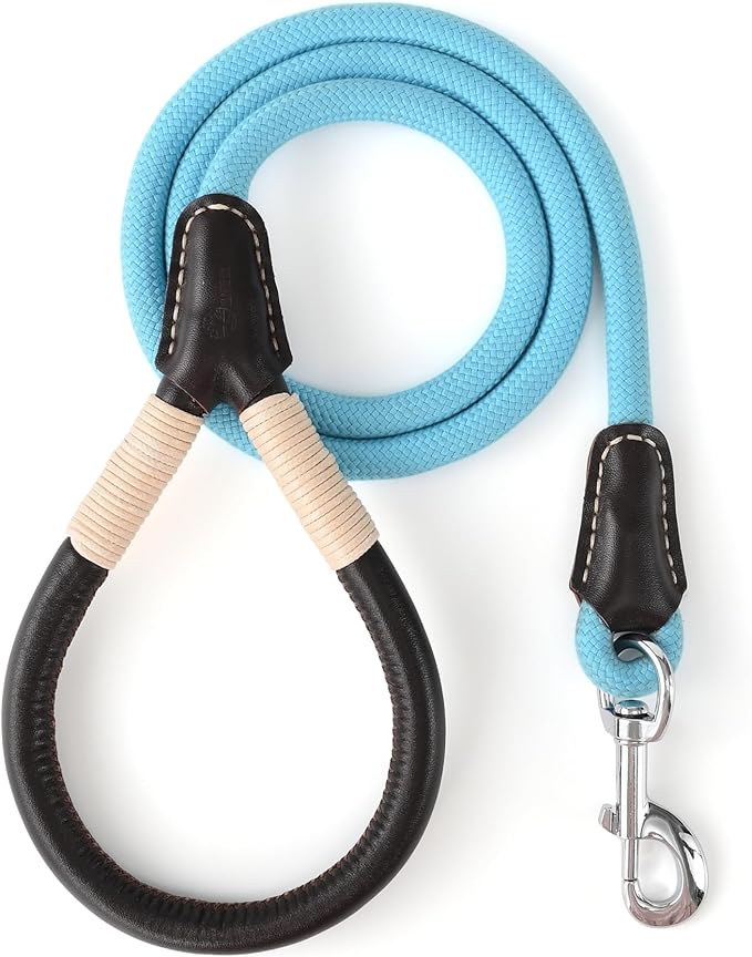 Mile High Life Genuine Leather Wrapped Handle Dog Leash, w Heavy Duty Clasp Rope Leash for Small Medium Large Dogs (Blue, 6FT)