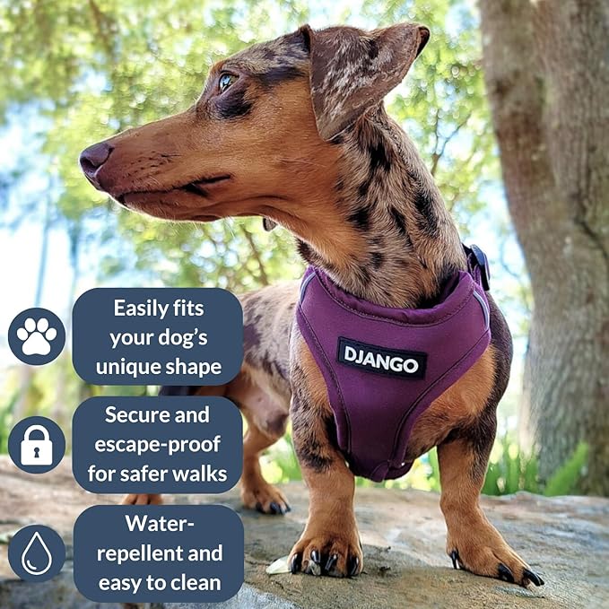 DJANGO Adventure Dog Harness - Stylish, and Durable Small Dog Harness for Outdoor Adventures and Everyday Wear - Plum Purple Neoprene Adjustable Harness for Dogs with Reflective Piping, Brass D-Ring