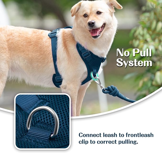 No Pull Dog Harness for Small Medium Large Dogs - Adjustable 2 Layer Mesh Dog Vest with Dual Clip, Escape Proof, Quick Release, Lightweight Breathable Mesh for Walking Hiking (Prussian Blue,L)