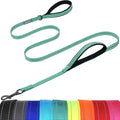 VIVAGLORY Twingrip Dog Leash, Double Handle Dog Leash for Training & Walking with Traffic Handle & 2 Loop, Traffic Control Reflective Heavy Duty for Puppy Pet, 4ft x 1/2in, Turquoise