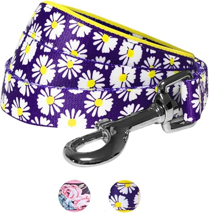 Blueberry Pet 2 Pattern Loving Daisy Prints Dog Leash with Soft & Comfortable Handle, 5 ft x 5/8", Small, Leashes for Dogs
