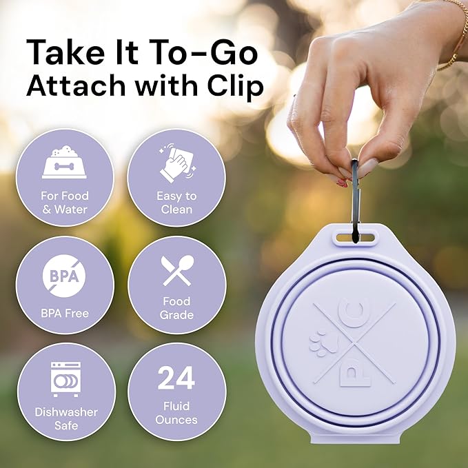 Pup Culture Dual Collapsible Dog Bowls | Silicone Travel Water Bowl for Dogs | Food Grade, No Plastic Rim, Portable Dog Bowl for Food and Water-Easy to Clean | BPA Free and Safe for Your Pup-Lavender