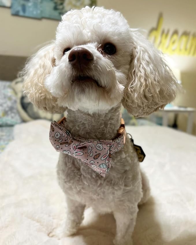Elegant little tail Easter Dog Collar, Bunny Carrots Pet Collar with Bowtie Cute Pink Pet Bow Puppy Collars Adjustable Dog Collars for X-Small Dogs