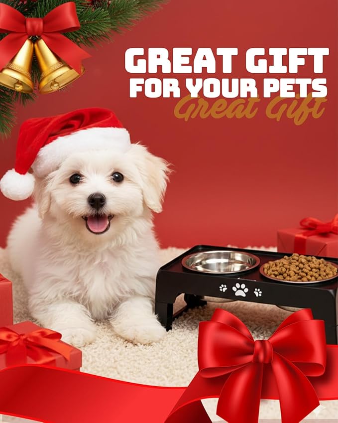 Elevated Dog Bowls, Dog Feeder with 2 Stainless Steel Dishes, 2 Heights Adjustable Raised Stand for Small Dogs, Food Dishes with Non-Slip Feet