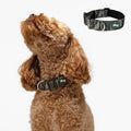 DF Co. Tactical Dog Collar | Comfortable & Secure with Quick Release Clip Buckle and Heavy Duty D-Ring | Soft Padded Neoprene, Chafe Resistant, Night-Time Visibility | Green Camo, Size XS/XXS