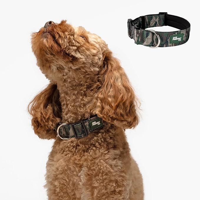 DF Co. Tactical Dog Collar | Comfortable & Secure with Quick Release Clip Buckle and Heavy Duty D-Ring | Soft Padded Neoprene, Chafe Resistant, Night-Time Visibility | Green Camo, Size XS/XXS