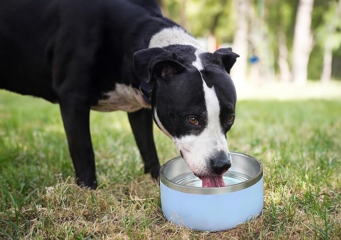 ALPINE Set of 2 Stainless Steel Dog Bowls, Non Slip, Metal Pet Bowl for Food and Water, Double Walled Insulated, Rustproof, Dishwasher Safe (64 oz, Black/White)