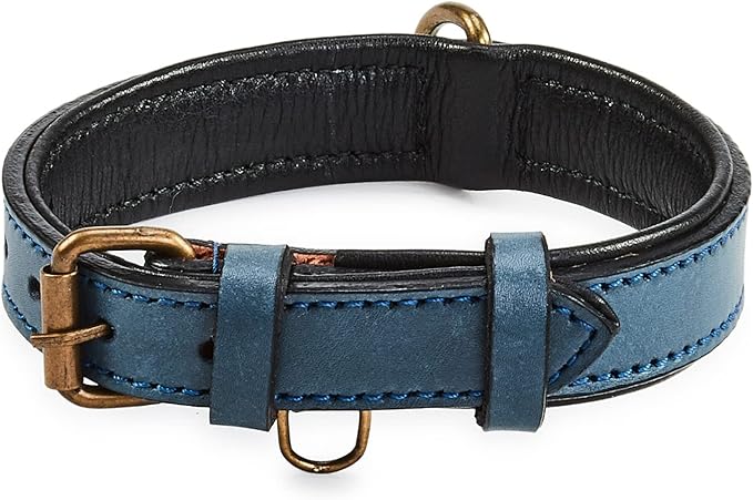 Real Leather Dog Collar Padded Soft Interiors with Premium Vintage Look Handcrafted Heavy Duty with Tag Ring for Small Medium and Large Pets (Small (1" Wide for 10.75" - 13.75" Neck), Ocean Blue)