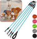 4 Way No Tangle Dog Leash - 360° Swivel Leash for Four Dogs, Reflective Design for Small Medium Large Dogs (Blue, 4 Way)