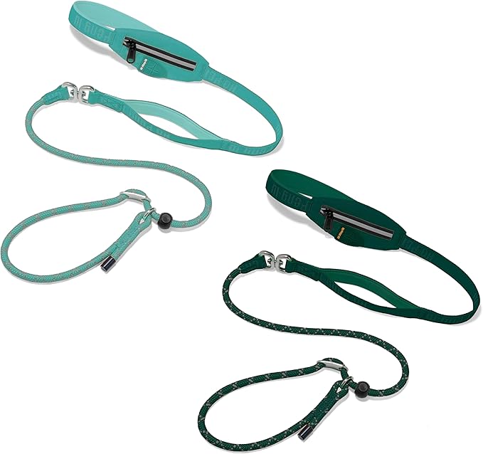 2 Pack Slip Lead Dog Leash, Heavy Duty No-Pull Training Leash w/Poop Bag Holder, Anti-Tangle, Multi-Handles & Reflective Thread for Medium Large Dogs 5FT Cyan+Green