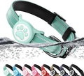 Airtag Dog Collar, Reflective Ultra-Durable Nylon Padded with QR Code Buckle & IP68 Waterproof Air Tag Holder Compatible for Apple AirTag, Comfortable for Small Medium Large Dogs (Green, XS)