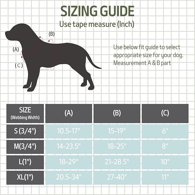 Casual H Dog Harness, No-Pull Pet Harness with 2 Leash Clips, Adjustable Soft Padded Dog Vest for Small, Medium, and Large Dogs, Forest Green Gradiant Color (L)