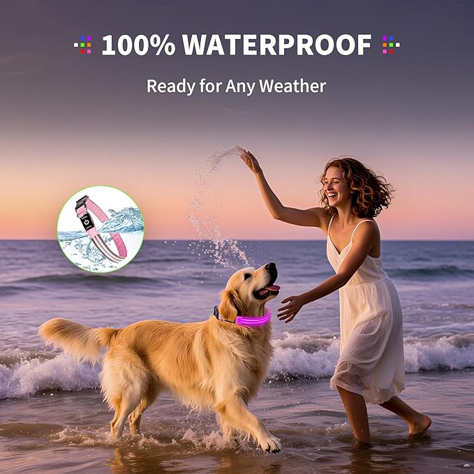 PetIsay Dog Light up Collar for Night Walking - High Visibility LED Dog Collar - Rechargeable - Waterproof - Reflective - Adjustable Lighted Glow Collars(Pink, Medium)