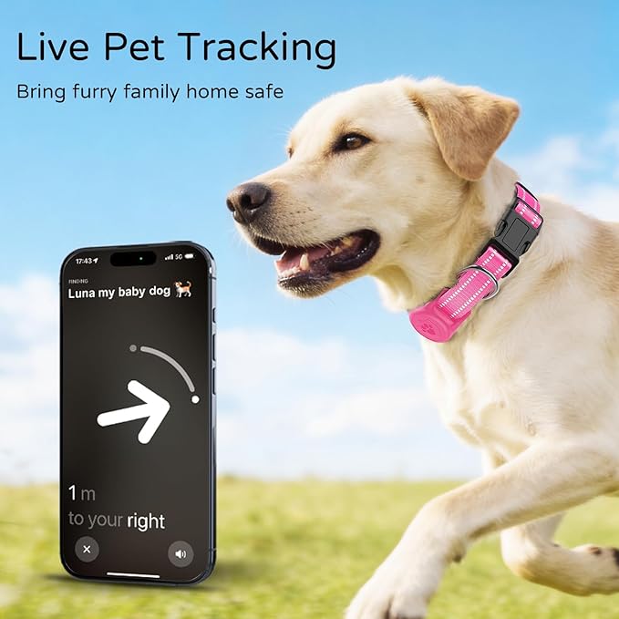 Airtag Dog Collar, Dog Collar with Airtag Holder Compatible for Apple Air Tag, Fit Circle Airtag Holder(Not Fit Other Shapes) for Small Dogs IP68 Waterproof (Rose Red,S)
