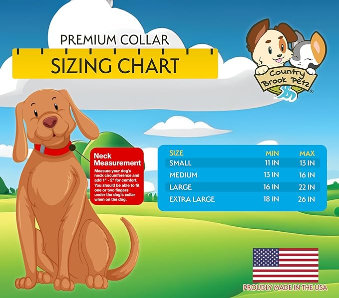 Country Brook Petz - Premium Nylon Dog Collar with Metal Buckle for Small Medium Large Breeds - 10+ Cool Colors (Large, 1 Inch, Light Cyan)