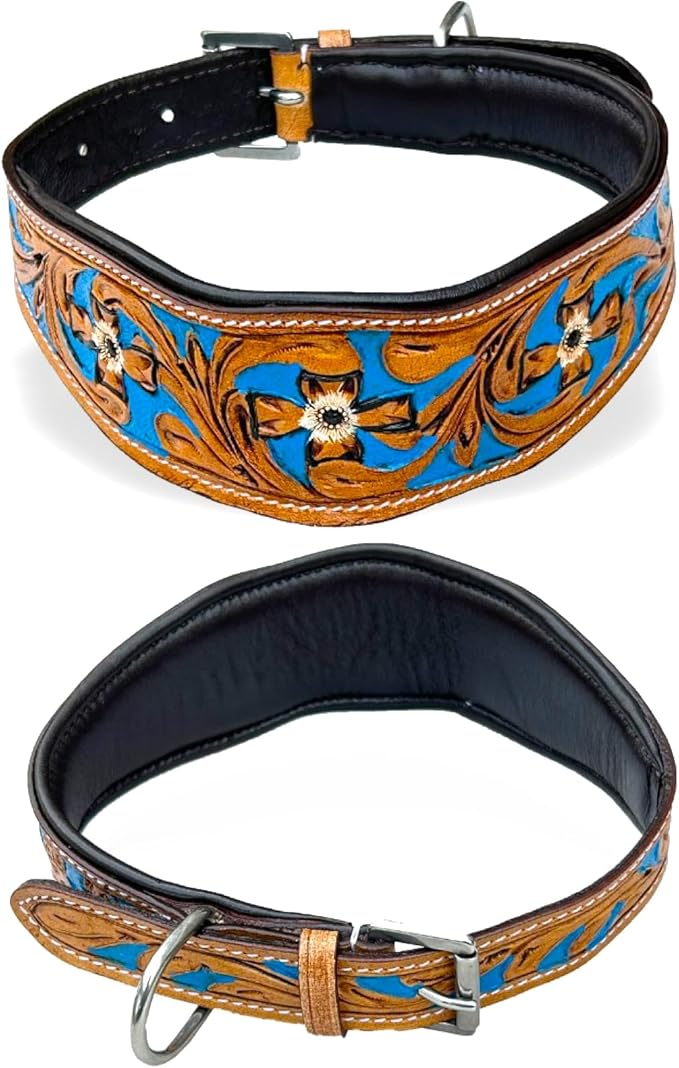 Majestic Ally Leather Dog Collar with Adjustable, Padded Fit for Walking, Hiking, and Running, Designer Western Wear for Puppies, Fancy Colors (Royal Blue - Natural, Medium)