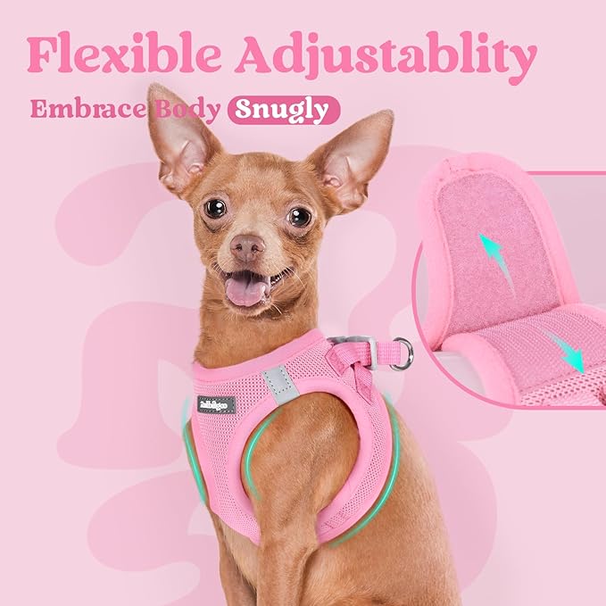 rabbitgoo Small Dog Harness, Step-in Soft Mesh Puppy Vest with Safety Buckle, Breathable Reflective Pet Harness for Small Medium Dogs, Light Pink L