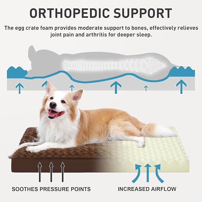 Dog Crate Bed Waterproof Jumbo Dog Beds for Extra Large Pets Rose Velvet Soft Fluffy Washable with Removable Cover & Anti-Slip Bottom, 53 x 36 Inch, Brown