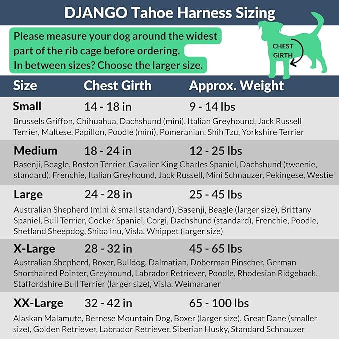 DJANGO Tahoe No Pull Dog Harness – Escape-Proof Dog Harness for Small & Medium with Front & Back Clips for Everyday Use – Adjustable, Padded, Reflective, Secure Fit, Easy On/Off – Sandy Beige, Medium