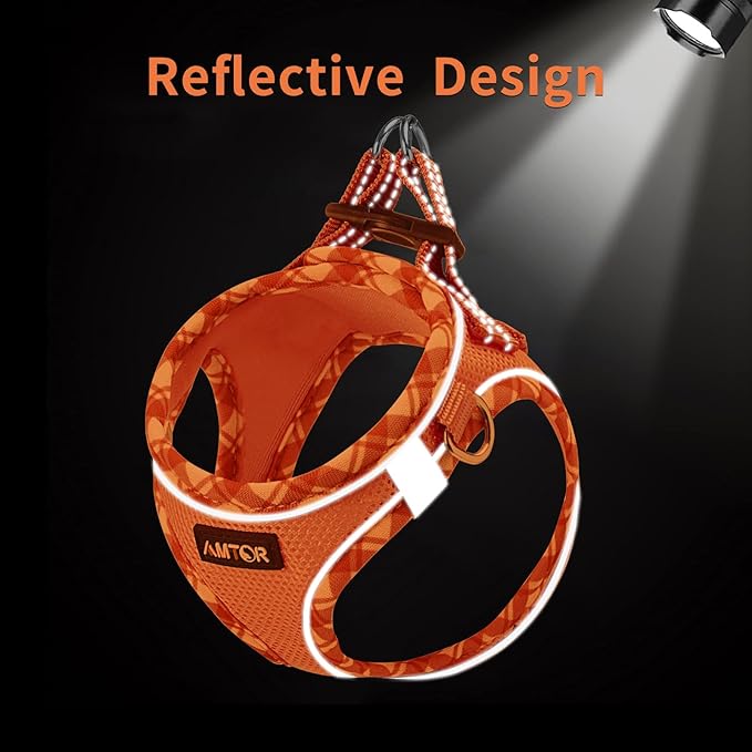 AMTOR Small Dog Harness with Leash Set, No Escape Easy Walk Puppy Harnesses for Training Walking, Step-in Reflective Soft Dogs Vest for XS S Medium Extra-Small Large Sized Dog(XS Size,Orange/White)