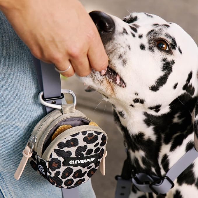 Cleverpup Snackpack Double Insulated Dog Treat Pouch – 1.5 Cup Capacity, 2 BPA-Free Waterproof Zipper Pockets, Carabiner for Belt/Leash – Compact Training & Travel Bag – Leopard