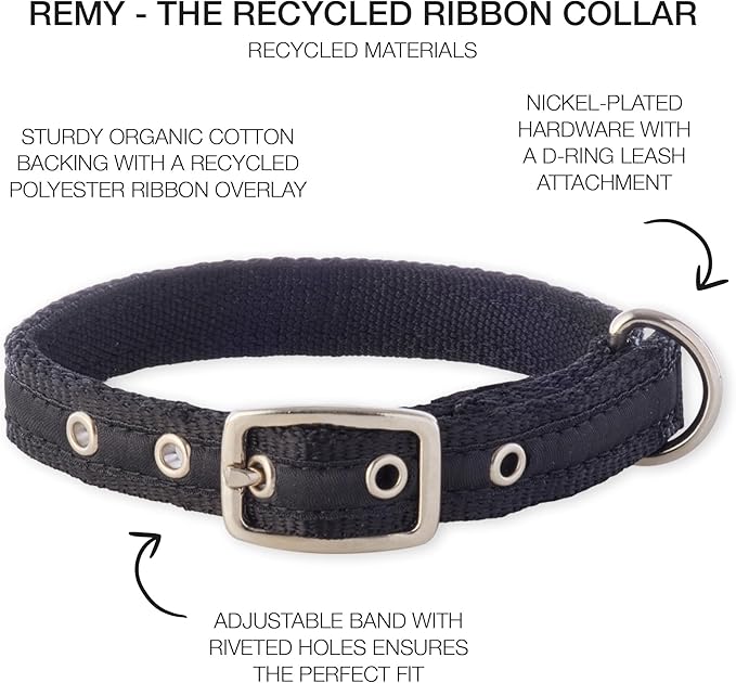 Adjustable Recycled Ribbon Dog Collar for All Pet Breeds, Black, Medium