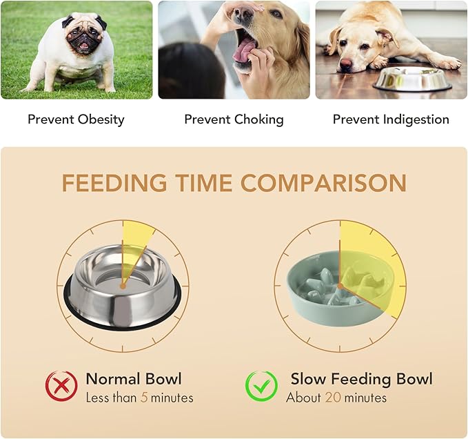 Ceramic 1.2 Cup Raised Slow Feeder Dog Bowl Set, Elevated 6.1inch Bowl and 7.3inch Slow Pet Food Dish with Wooden Stand for Small and Medium Dog (2 x Light Green+ Stand)