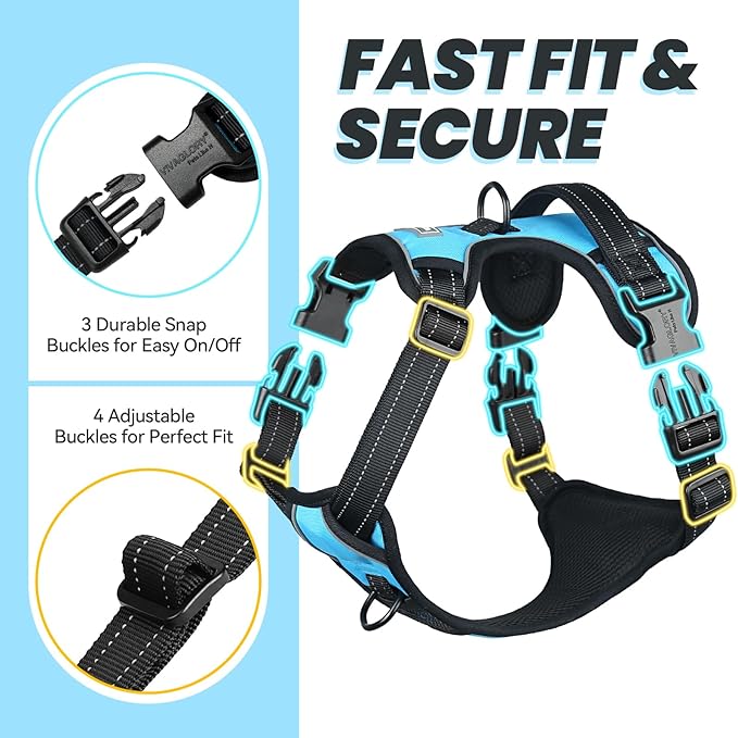 VIVAGLORY Dog Harness Easewalk No Pull Dog Harness with Handle Front Clip & Back Clip for Training Walking Lifting, No Pull Adjustable Easy On Padded Comfortable for Pet, M, Sky Blue - Plain