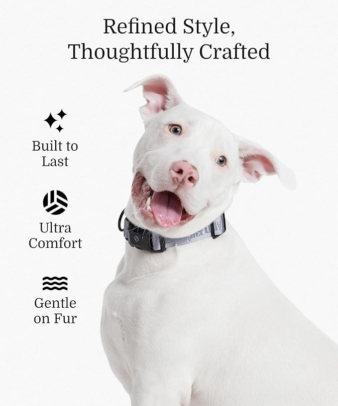 2026 New Edition, Fei & Eve MagEase Dog Collar - Patented Magnetic Buckles | Fur-Safe | Premium 210D Nylon | 450LB Escape-Proof | Adjustable Fit | Medium (Twilight Gray)