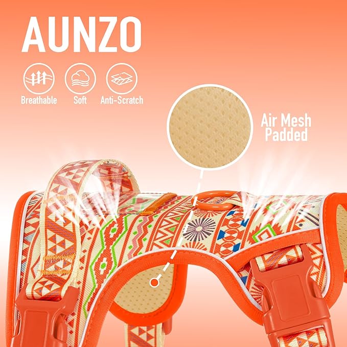 No Pull Dog Harness for Large Dogs with 2 Metal Clips, Easy On/Off with Neck Buckle, Heavy Duty Adjustable Puppy Vest, Breathable Pet Harness with Easy Control Handle, Orange Ethnic L