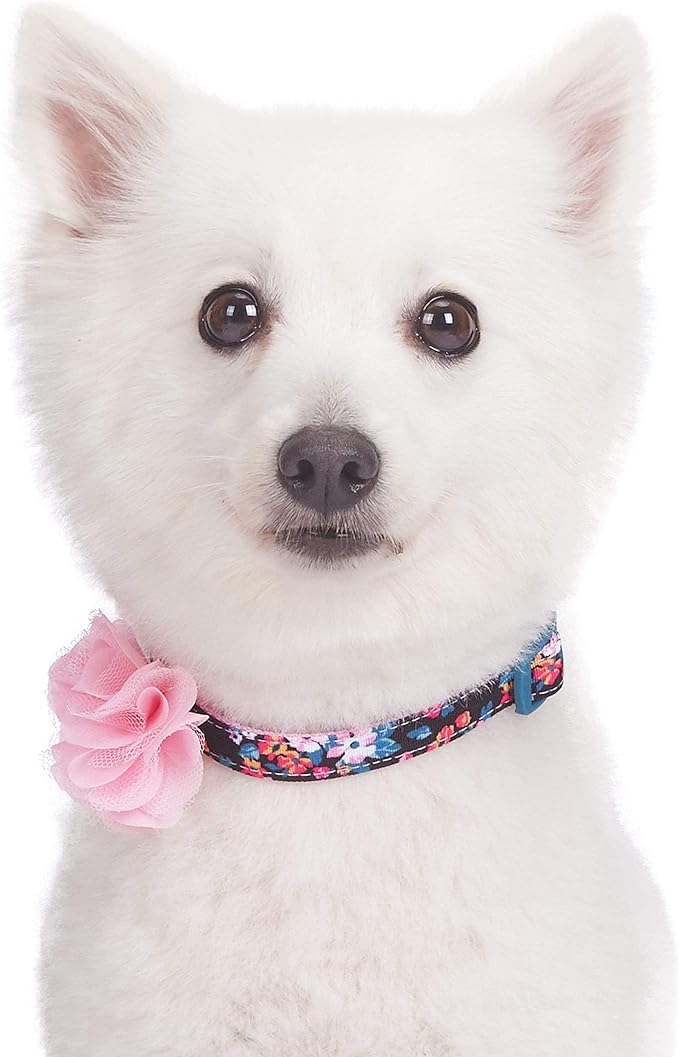 Blueberry Pet Made Well Elegant Floral Print Adjustable Dog Collar in Sleek Black with Pink Artificial Silk Flower, X-Small, Neck 7.5"-10"